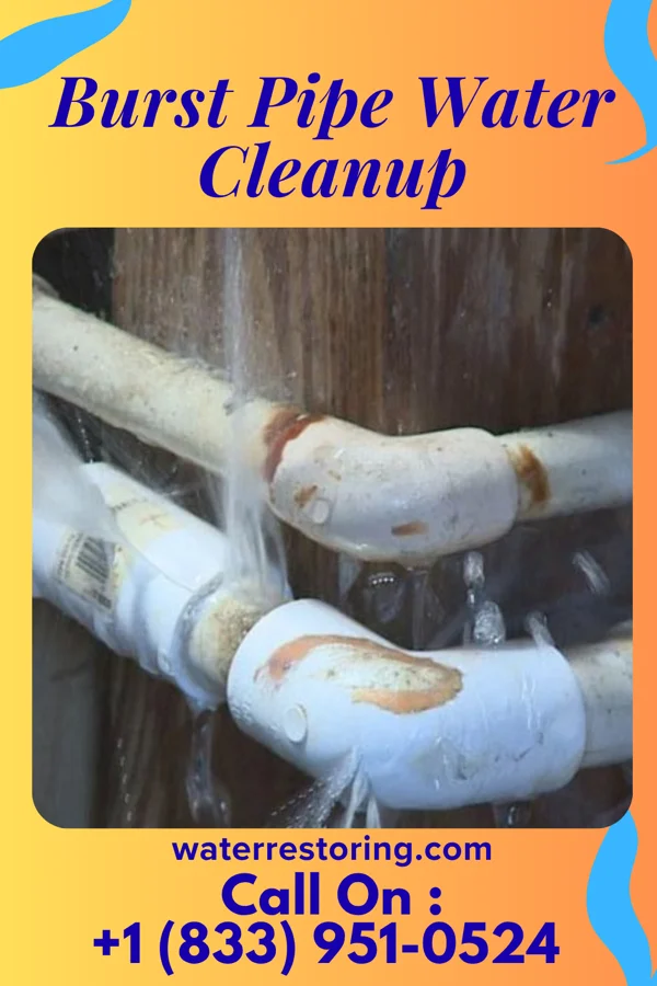 Burst Pipe Water Cleanup in Bowling Green, KY