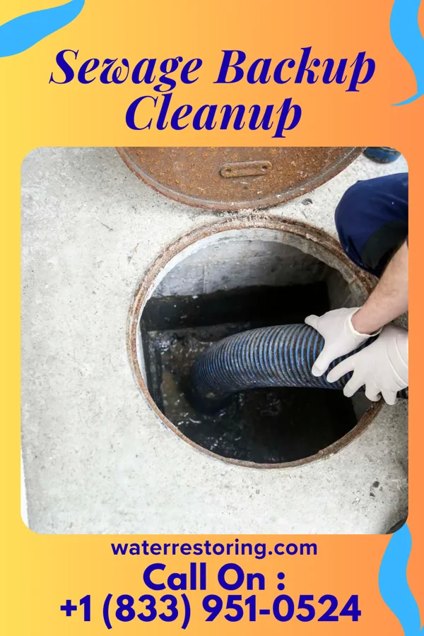 Sewage Backup Cleanup in Bowling Green, KY